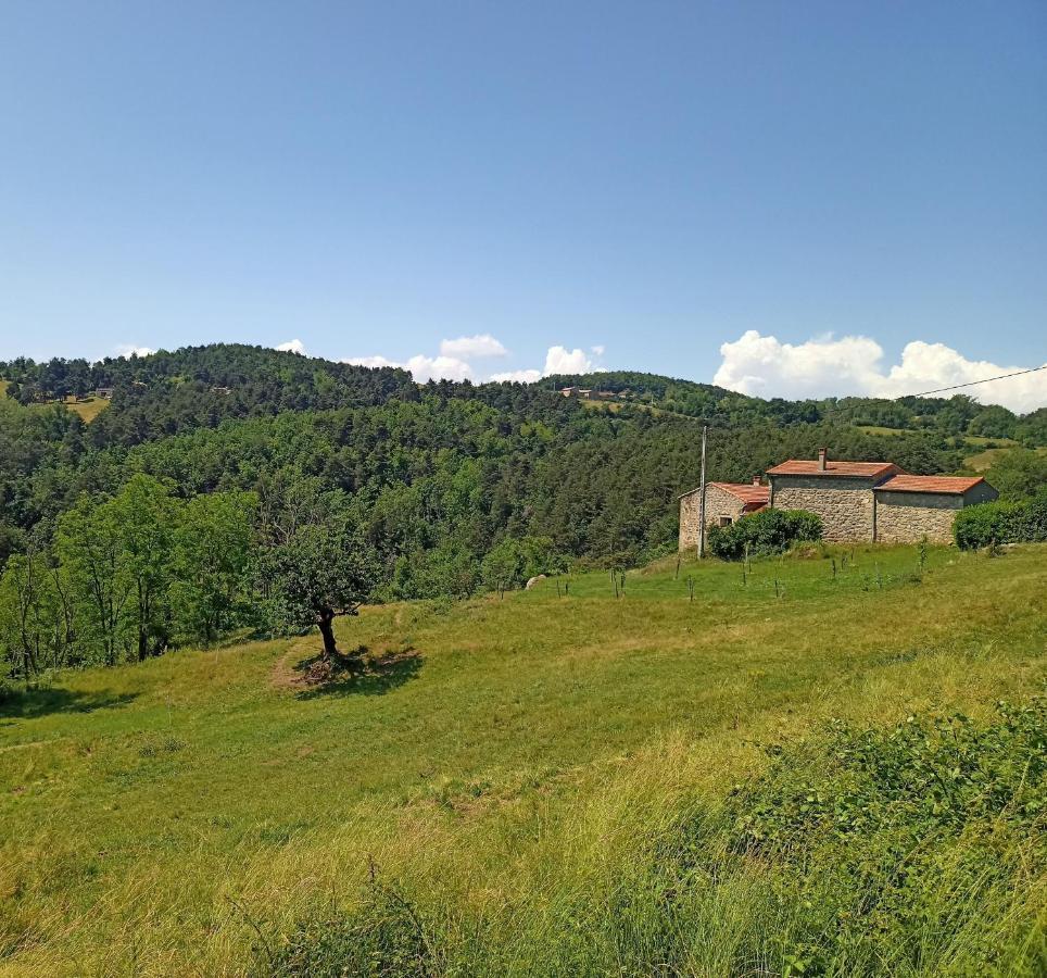 Colombier-le-Vieux Ecrin De Verdure En Ardeche Verte מראה חיצוני תמונה