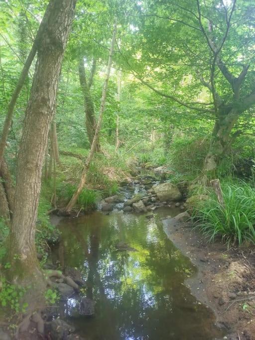 Colombier-le-Vieux Ecrin De Verdure En Ardeche Verte מראה חיצוני תמונה